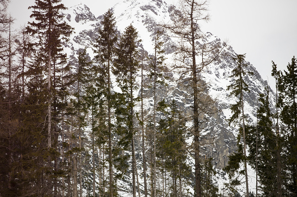 suvak-sk-2016-02-23_tatry-3