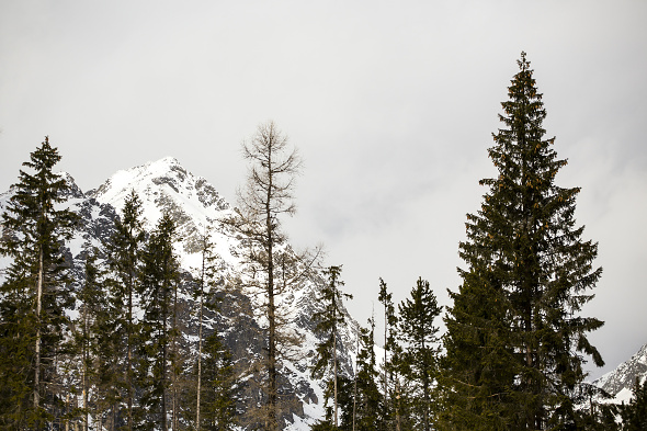 suvak-sk-2016-02-23_tatry-6