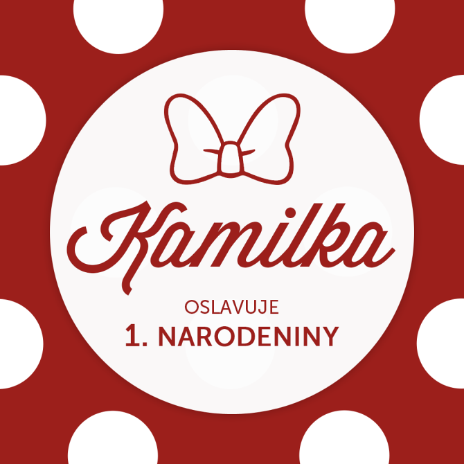 Kamilka oslavuje 1. narodeniny